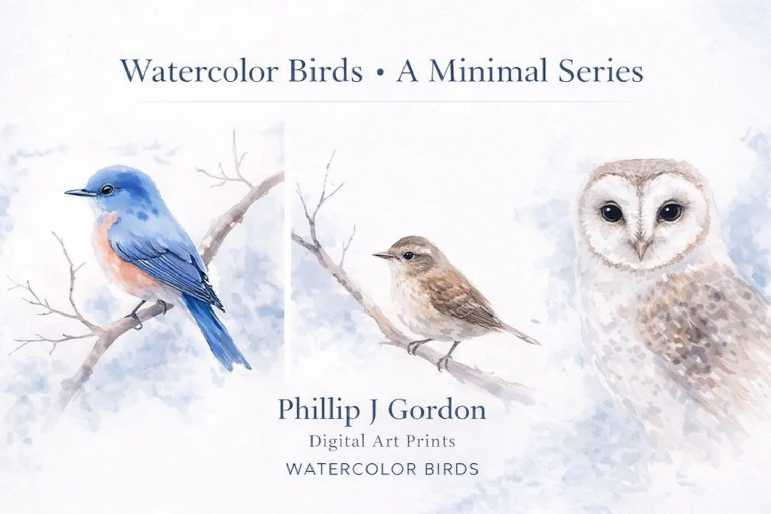 Watercolor Birds - A Minimal Series - Phillip J Gordon Digital Art Prints