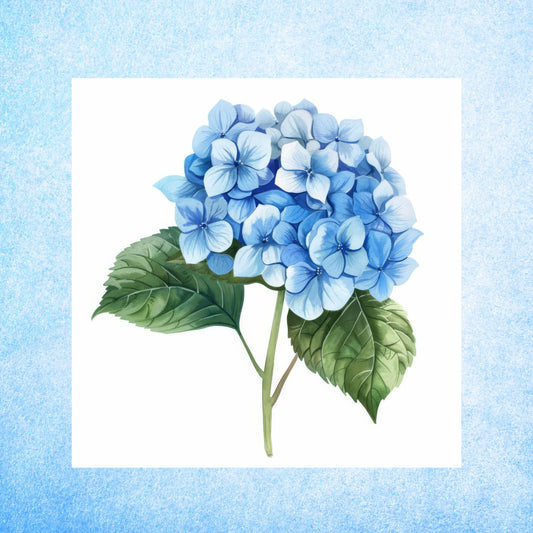 Illustration of blue hydrangeas with green leaves on a light blue background.