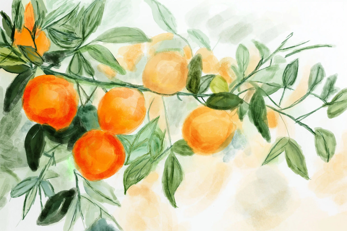Illustration of oranges on a branch with green leaves on a light background.