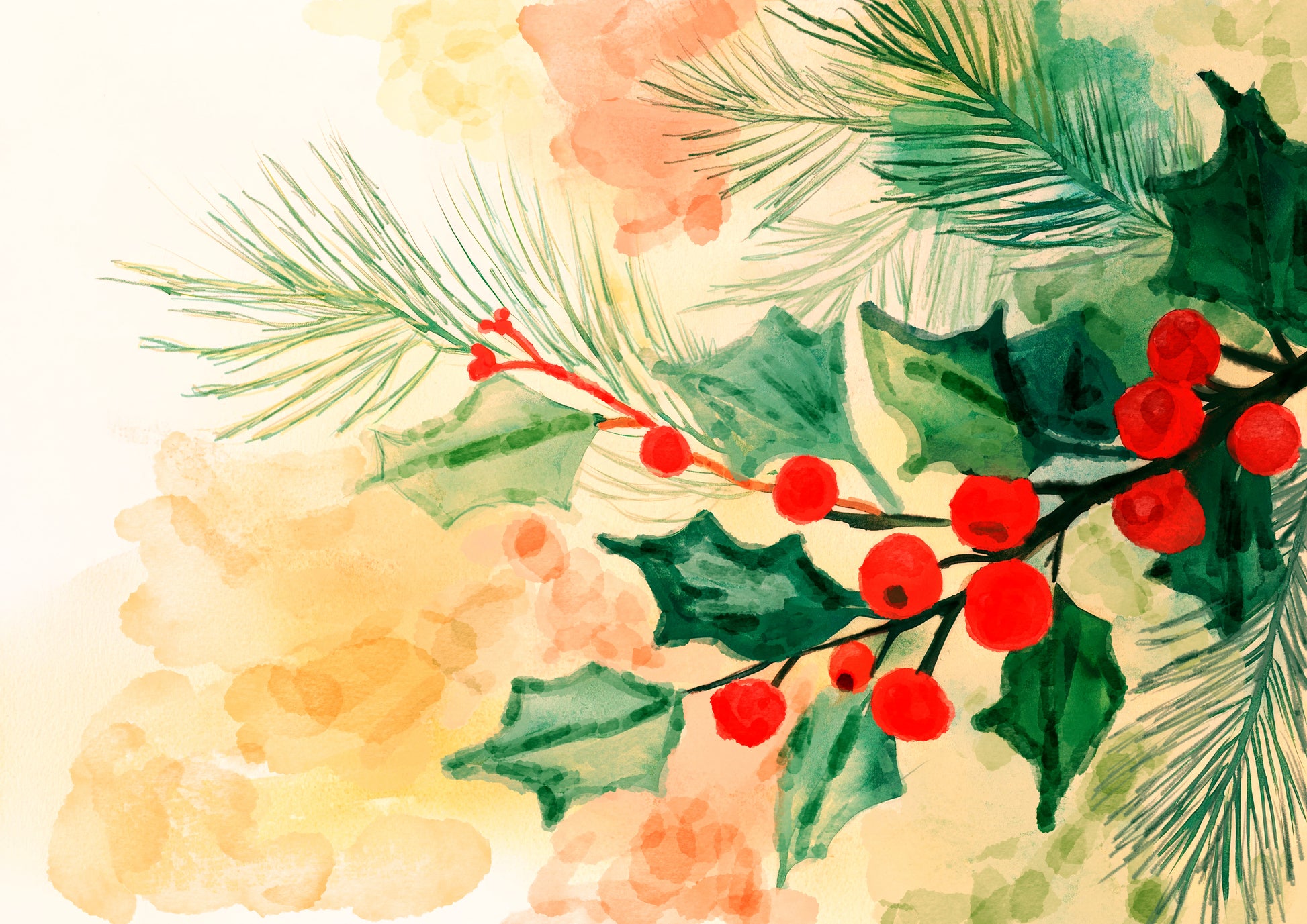 Christmas holly and red berries watercolor art print by Phillip J Gordon