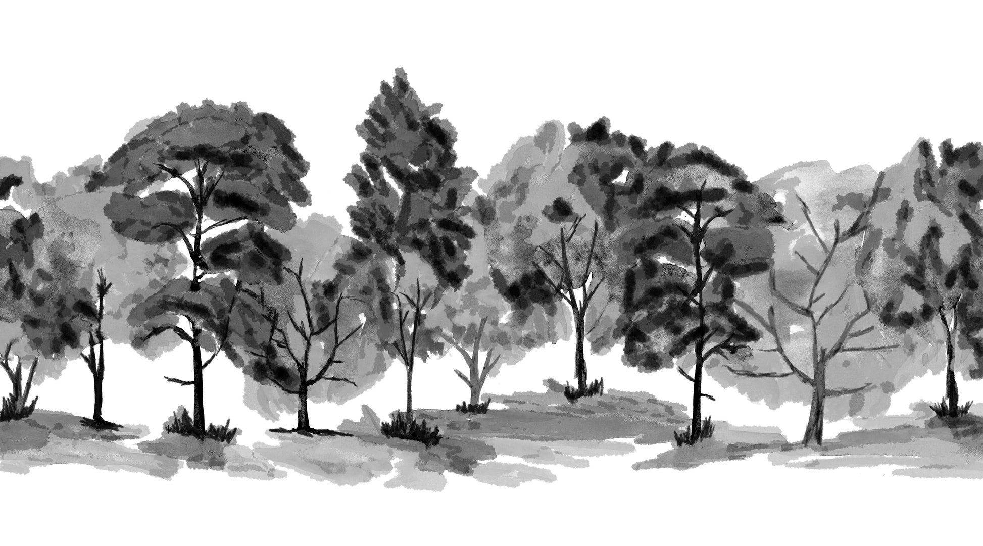 Black and white illustration of trees on a white background.