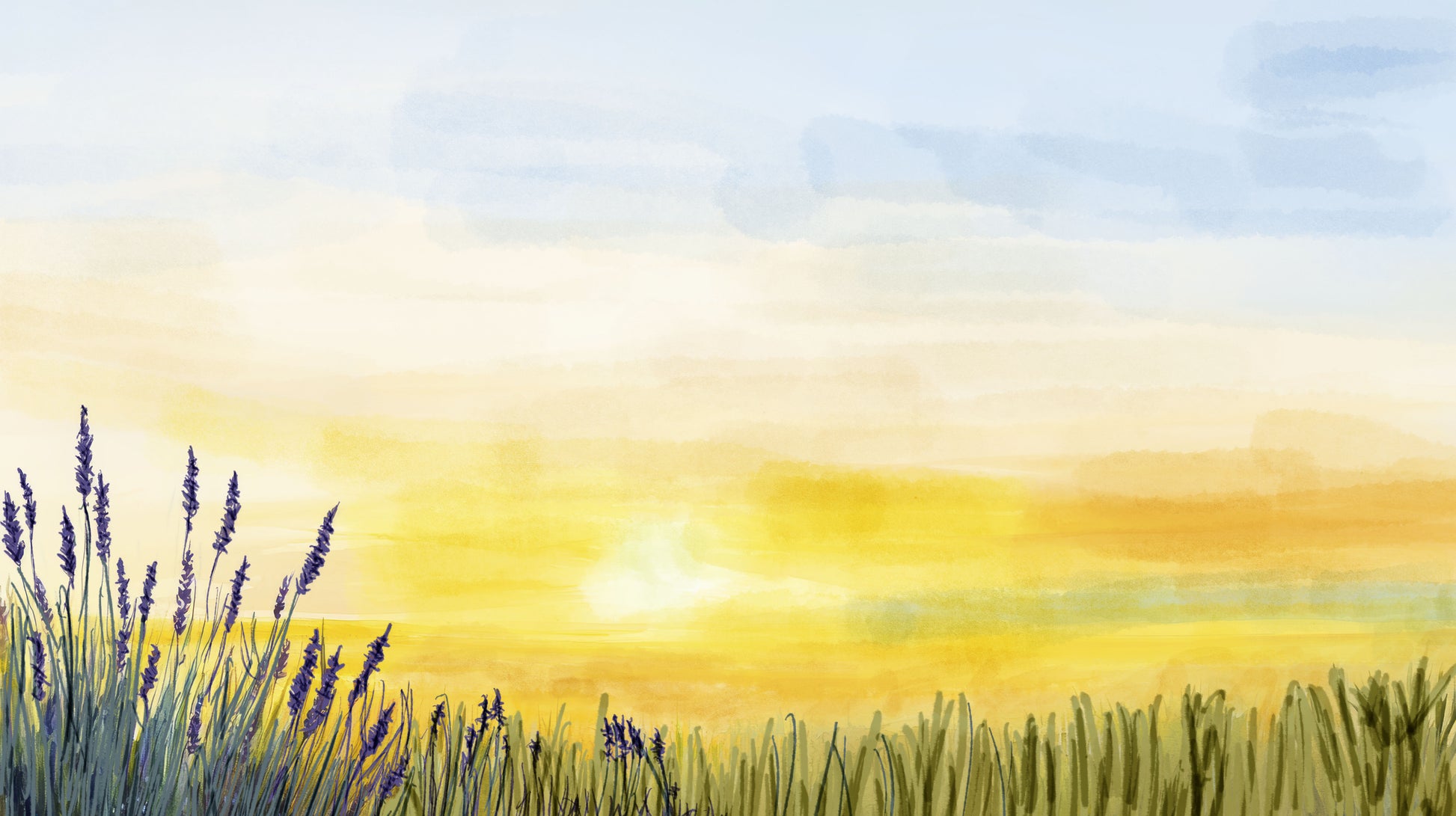 Watercolor painting of a field with lavender and a sunset.